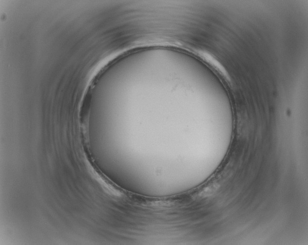 X0000061731380200512231423