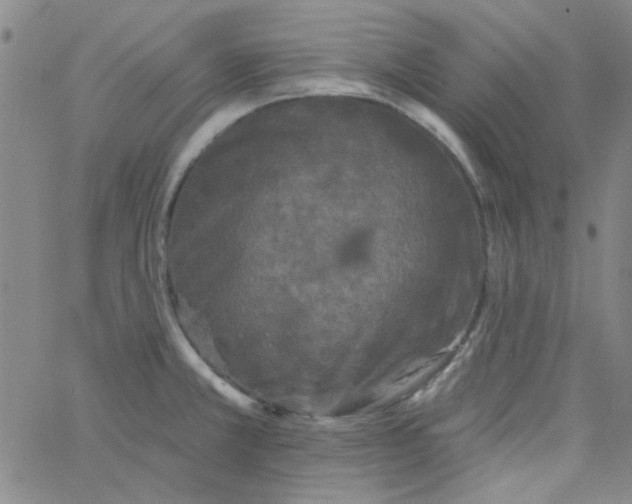 X0000061731381200512231423