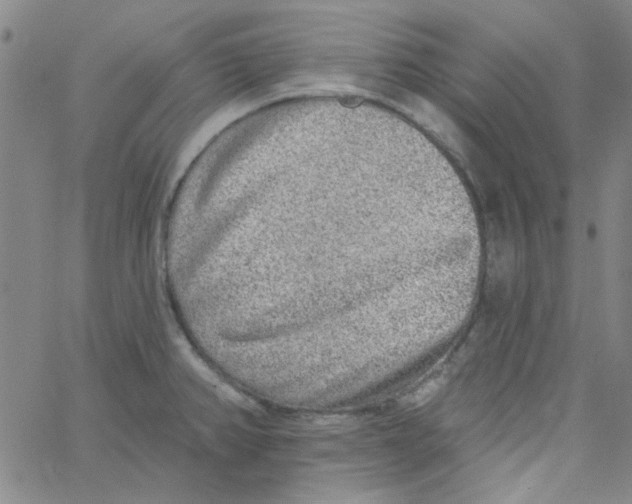 X0000061731382200512231423