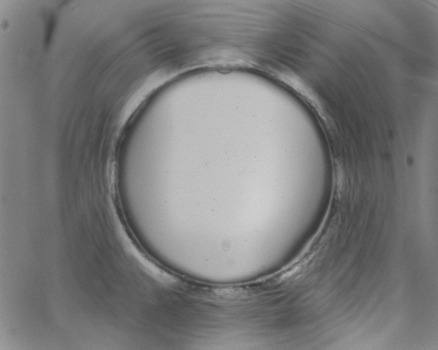 X0000061731383200512231423