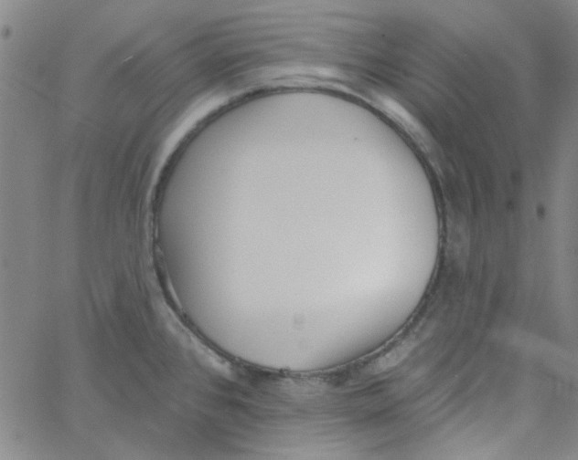 X0000061731384200512231423