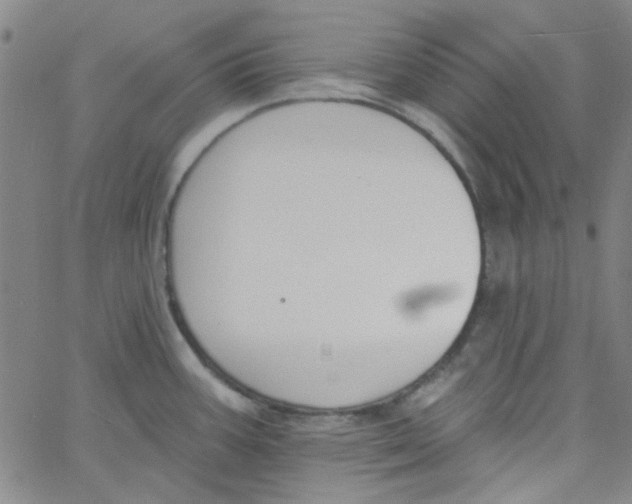 X0000061731387200512231423