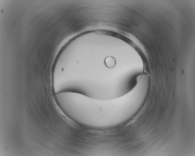 X0000061731388200512231423