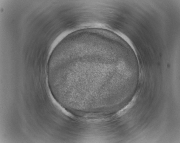 X0000061731389200512231423