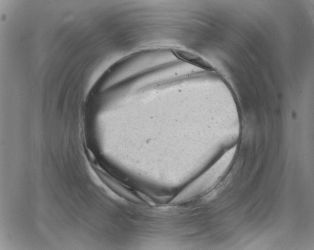 X0000061731390200512231423