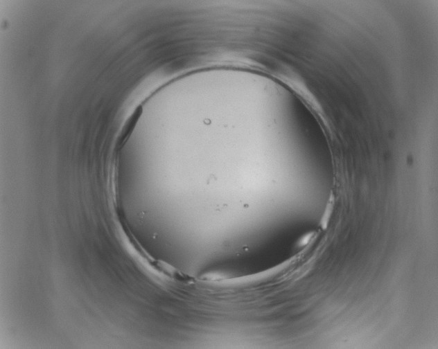 X0000061731391200512231423