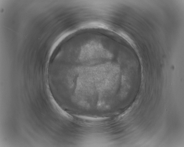 X0000061731392200512231423