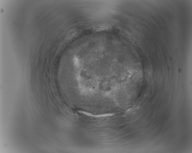 X0000061731393200512231422