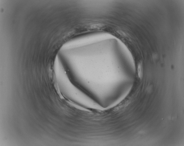 X0000061731395200512231423