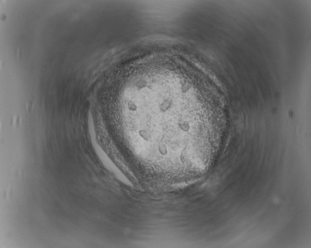 X0000061731397200512231423