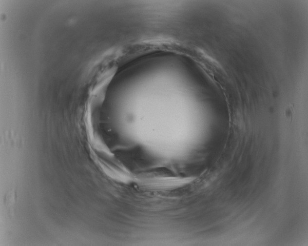 X0000061731398200512231423