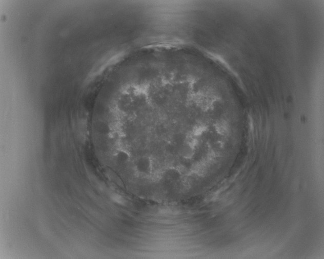 X0000061731399200512231423