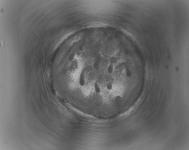 X0000061731401200512231423