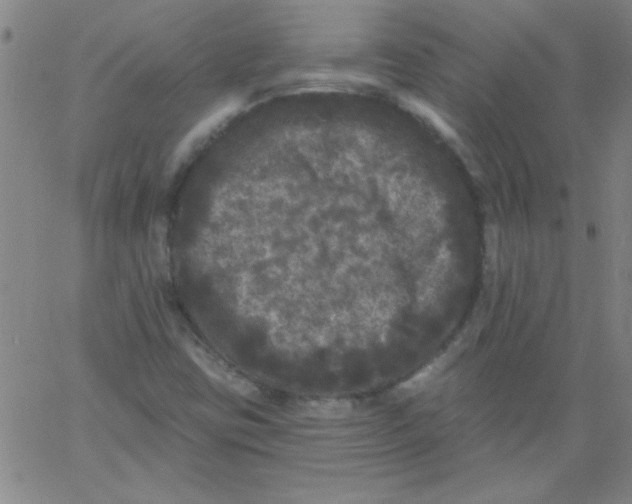 X0000061731403200512231423