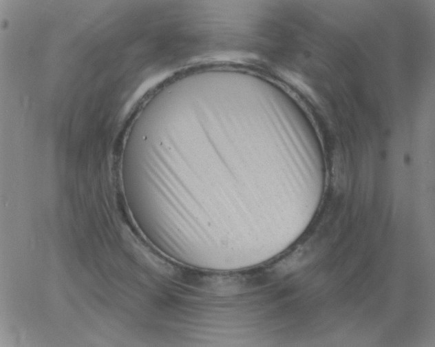 X0000061731404200512231423