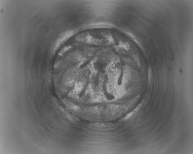 X0000061731405200512231423