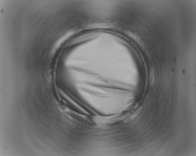 X0000061731406200512231423