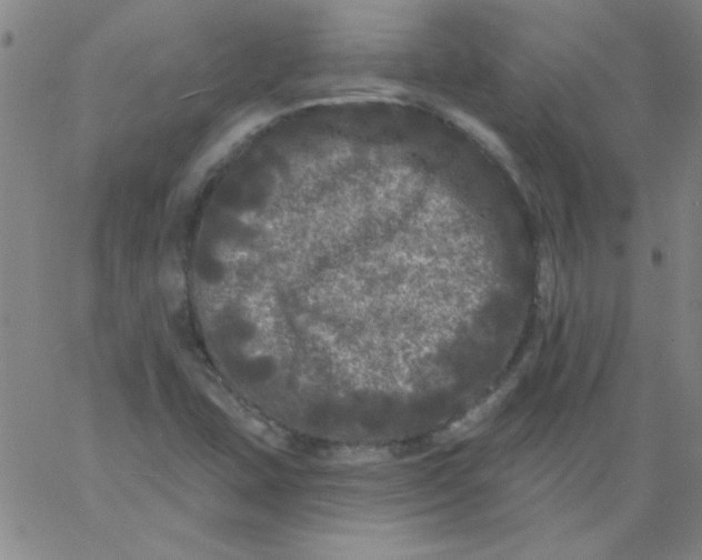 X0000061731407200512231423