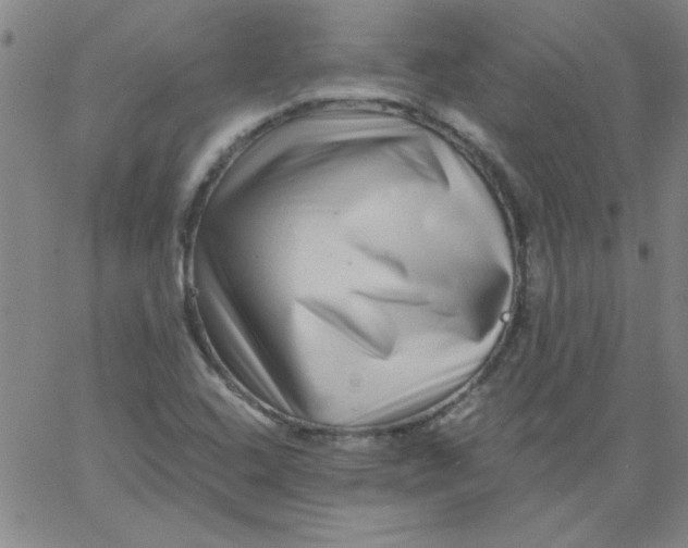 X0000061731408200512231423