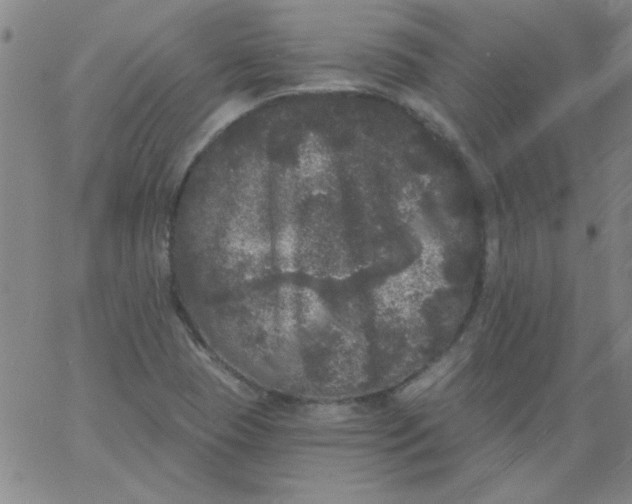 X0000061731409200512231423