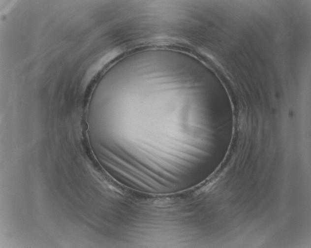 X0000061731410200512231423