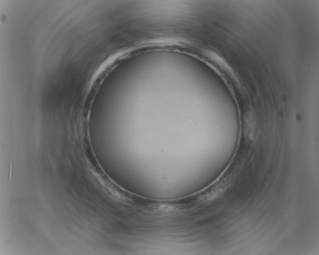 X0000061731412200512231423