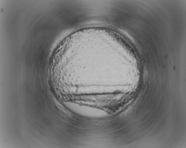 X0000061731413200512231423