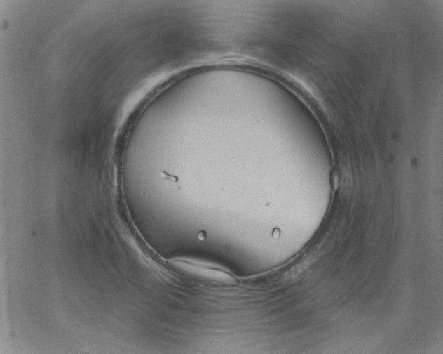 X0000061731414200512231423