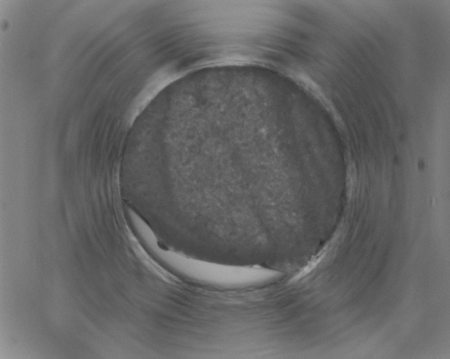 X0000061731417200512231423