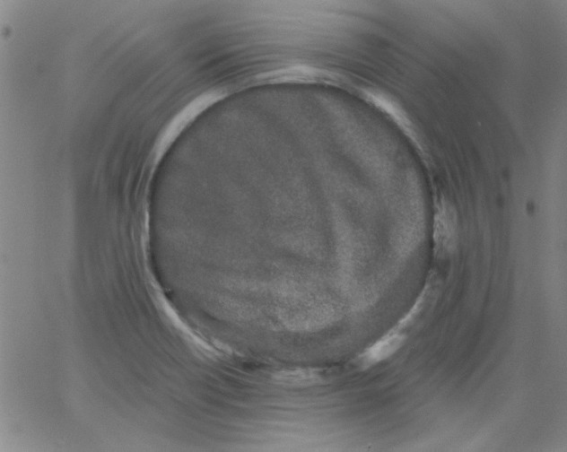 X0000061731418200512231423