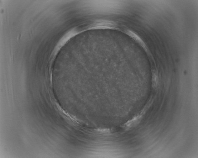 X0000061731419200512231423