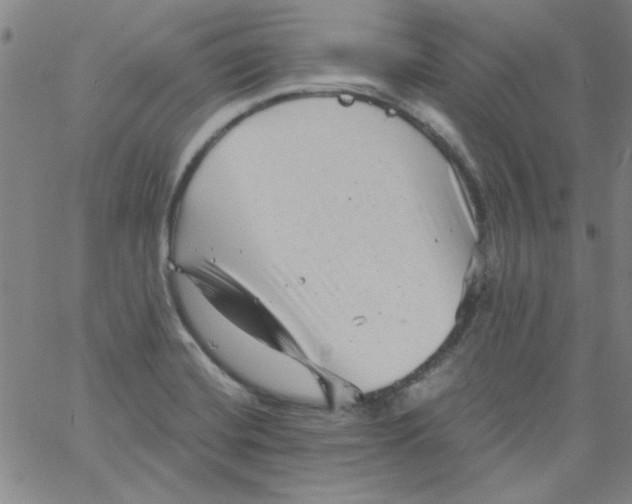 X0000061731420200512231423