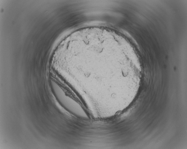 X0000061731421200512231423