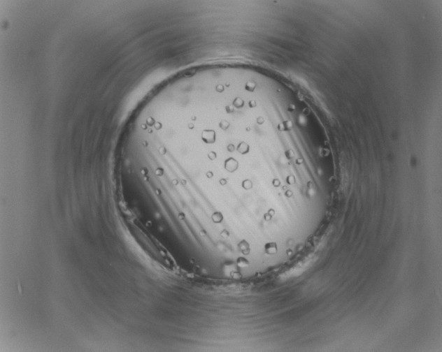 X0000061731422200512231423