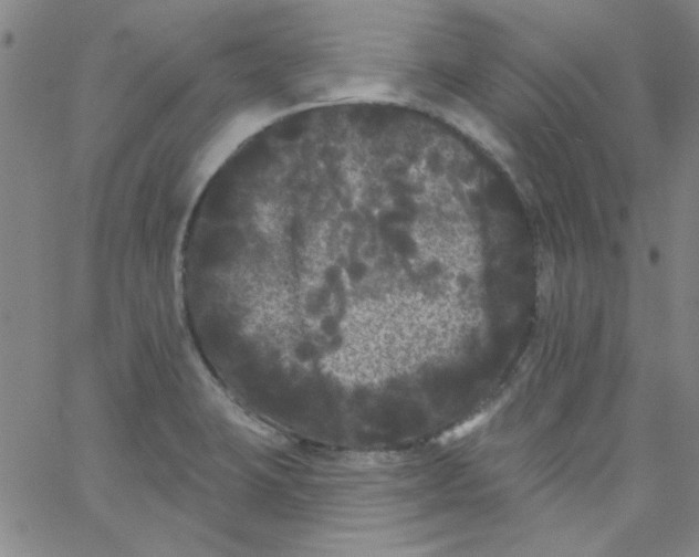 X0000061731423200512231423