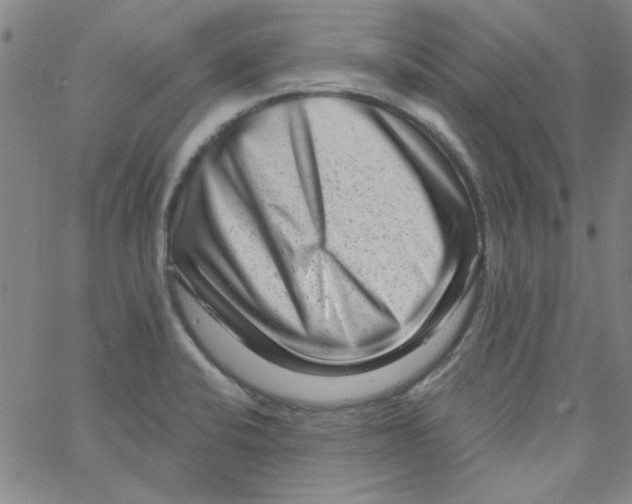 X0000061731424200512231423