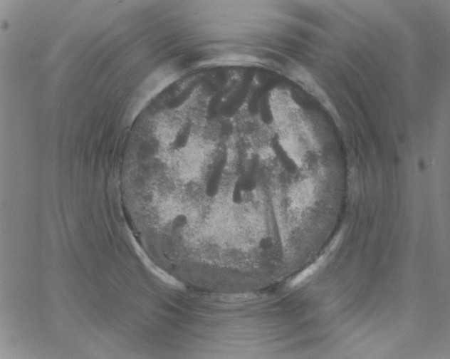 X0000061731425200512231423