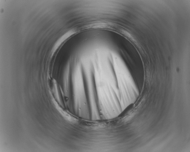 X0000061731426200512231423