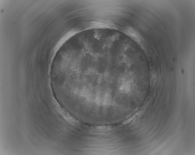 X0000061731427200512231423