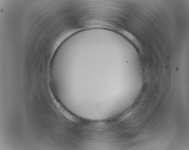 X0000061731431200512231423