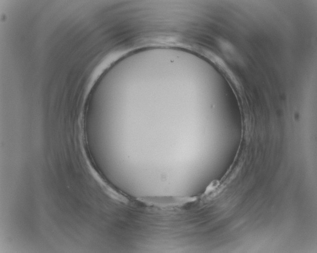 X0000061731432200512231423