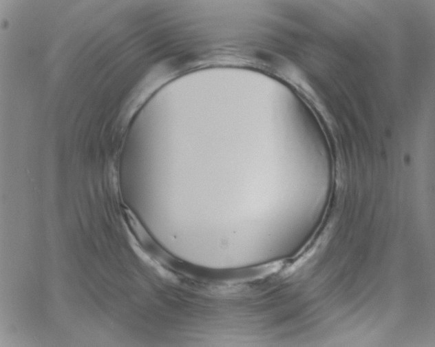 X0000061731433200512231423