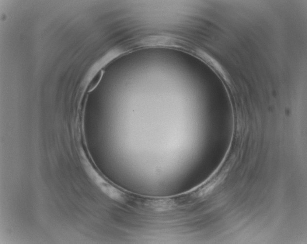 X0000061731434200512231423