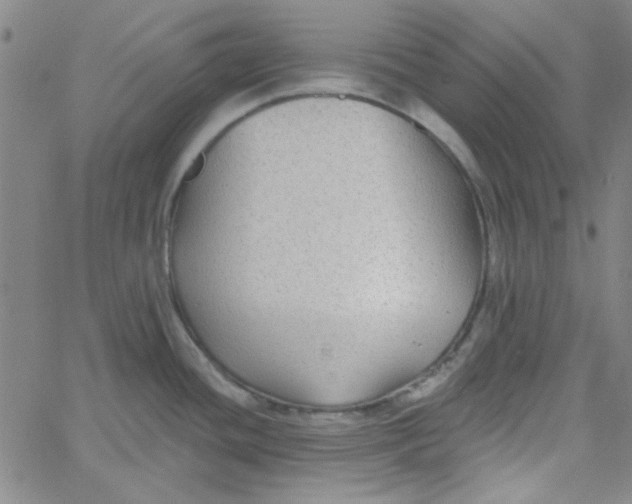 X0000061731436200512231423