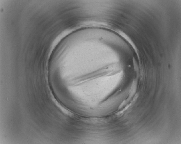 X0000061731437200512231423