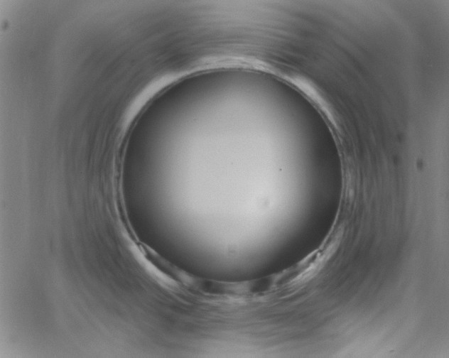 X0000061731438200512231423