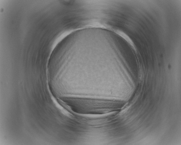 X0000061731439200512231423