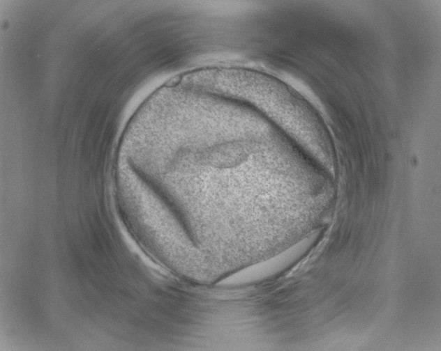 X0000061731440200512231423