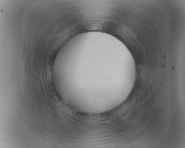 X0000061731442200512231422