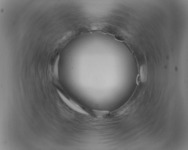 X0000061731443200512231422